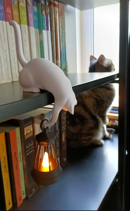 پت کتابخونه گربه