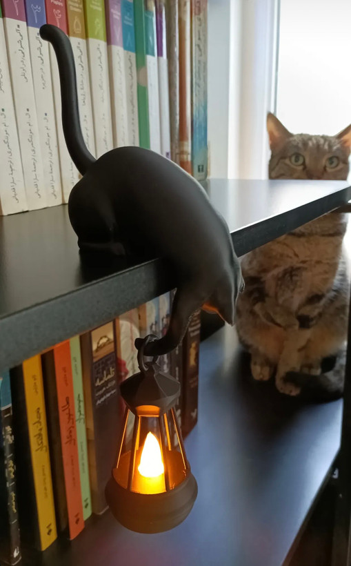 پت کتابخونه گربه